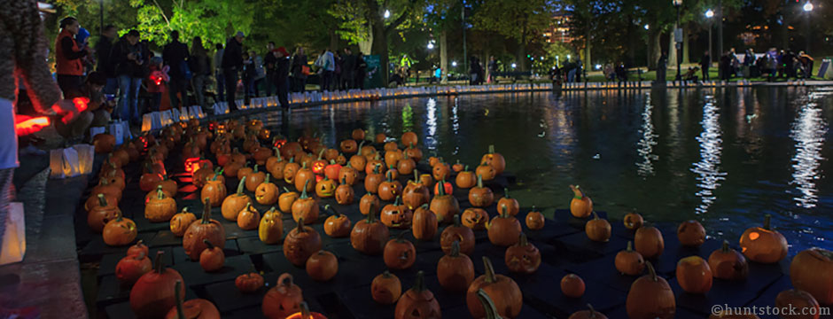 Image result for frog pond pumpkin display
