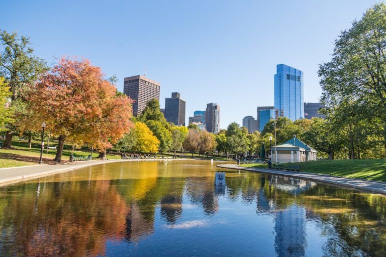 General Info The Boston Common Frog Pond