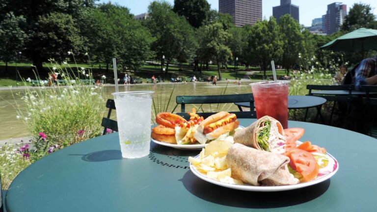 Boston Common Frog Pond, photo 2